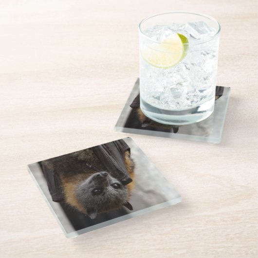 Australische bat glazen onderzetter (Schuin)