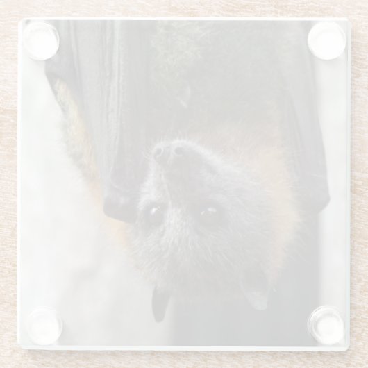 Australische bat glazen onderzetter (Achterkant)