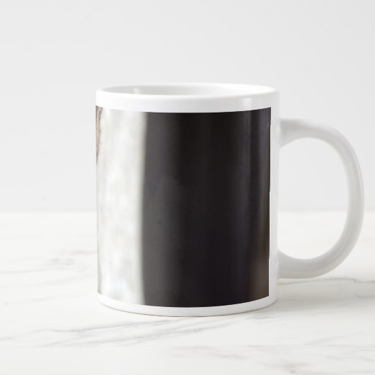 Australische bat grote koffiekop (Rechts)