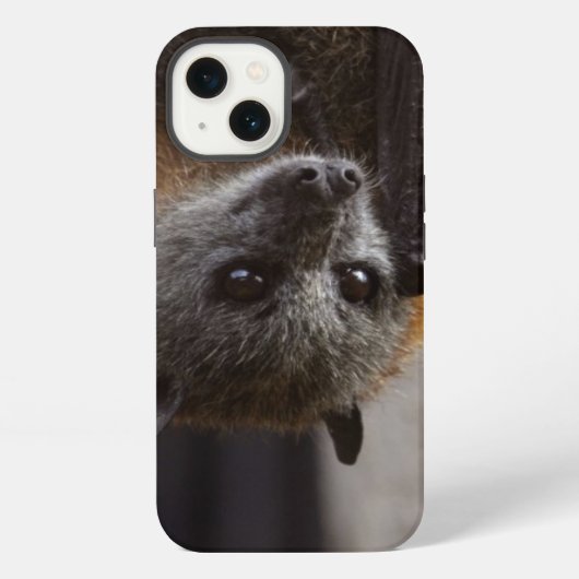 Australische bat iPhone hoesje (Achterkant)