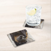 Australische bat kartonnen onderzetters (Insitu)