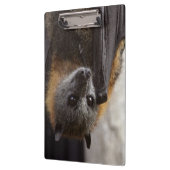 Australische bat klembord (Links)