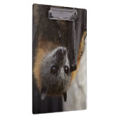 Australische bat klembord (Rechts)