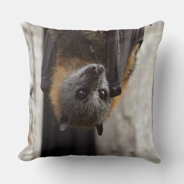 Australische bat kussen (Voorkant)