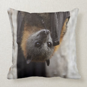 Australische bat kussen