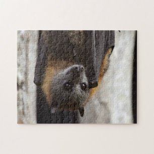 Australische bat legpuzzel