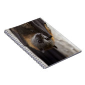 Australische bat notitieboek (Rechterzijde)