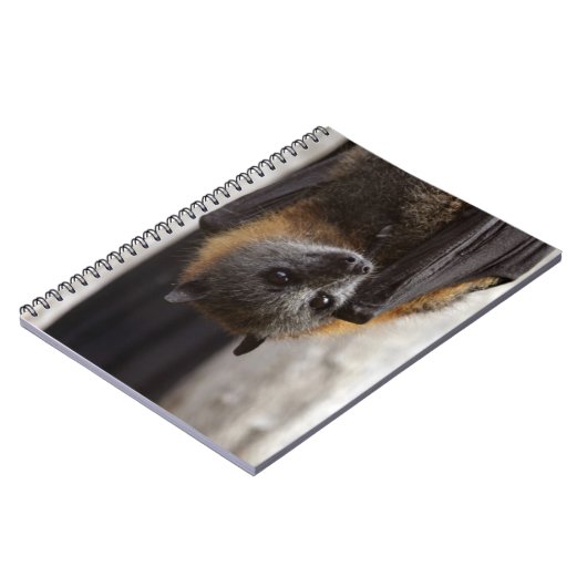 Australische bat notitieboek (Linkerzijde)