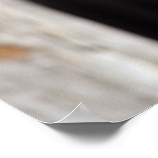 Australische bat poster (Hoek)