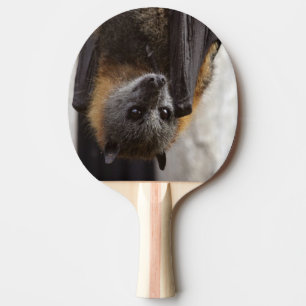 Australische bat tafeltennisbatje