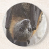 Australische bat zandsteen onderzetter (Voorkant)