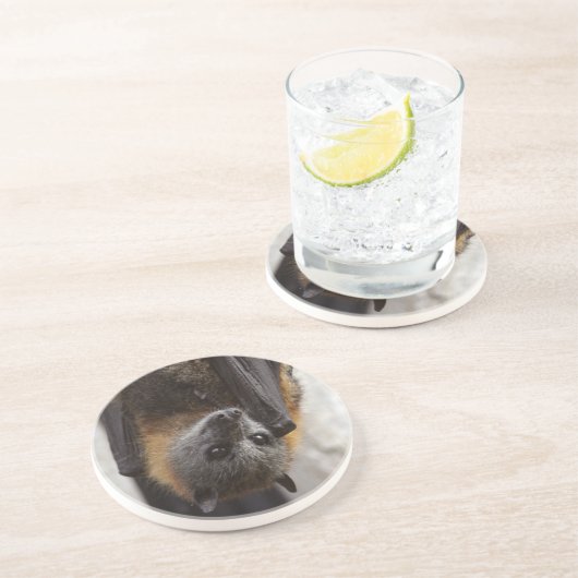 Australische bat zandsteen onderzetter (Zijkant)