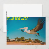  Australische bekkenkaart (Voorkant / Achterkant)