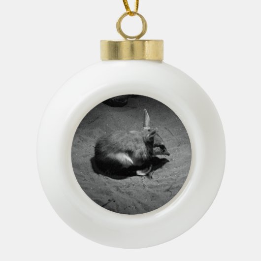 Australische Bilby, kerstboomversiering Keramische Bal Ornament (Voorkant)