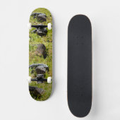 Australische blauwe tongluis, Skateboard set (Voorkant)