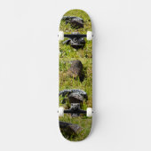 Australische blauwe tongluis, Skateboard set (Voorkant)
