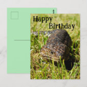 Australische Blauwtonghagedis, verjaardagskaart Briefkaart (Voorkant / Achterkant)