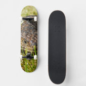 Australische blauwtongstumpy hagedis, skateboard (Voorkant)