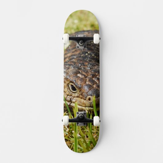 Australische blauwtongstumpy hagedis, skateboard (Voorkant)