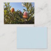 Australische bloesems visitekaartje (Voorkant / Achterkant)