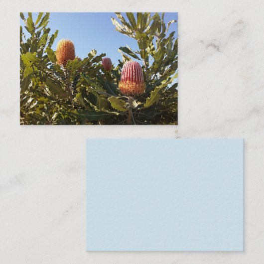 Australische bloesems visitekaartje (Voorkant / Achterkant)