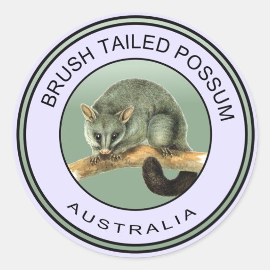 Australische borstel staart possum ronde sticker (Voorkant)