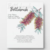 Australische botborstel botanische kunst fotoplaat (Voorkant)