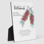 Australische botborstel botanische kunst fotoplaat (Zijkant)