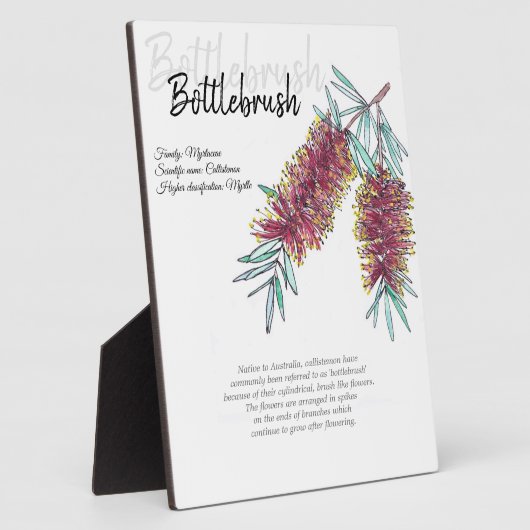 Australische botborstel botanische kunst fotoplaat (Zijkant)