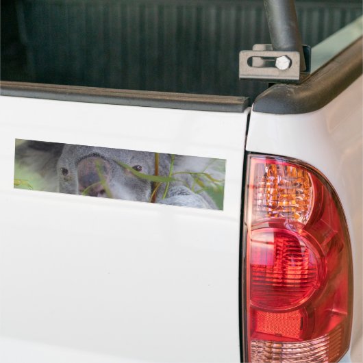 Australische Bumpersticker Koala (Op Truck)