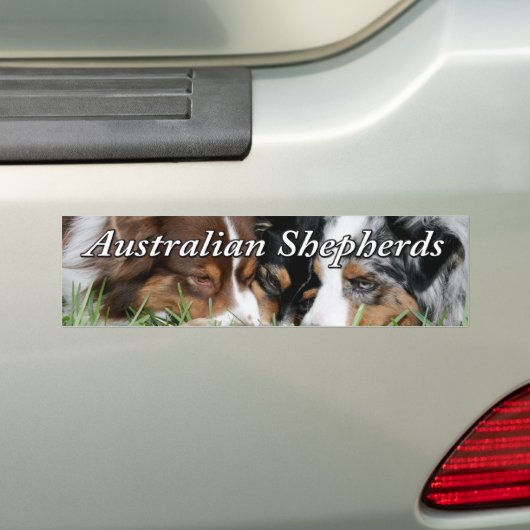 Australische Bumpersticker Shepherd (Op auto)