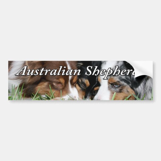 Australische Bumpersticker Shepherd (Voorkant)