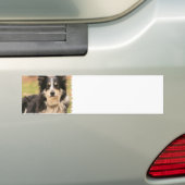Australische Bumpersticker Shepherd (Op auto)