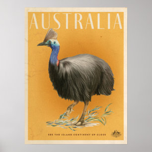 Australische Cassowary-reisposter Poster