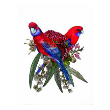 Australische Crimson Rosella en Wildflower Boeket