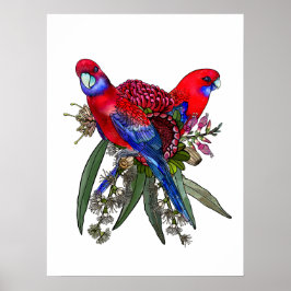 Australische Crimson Rosella en Wildflower Boeket Poster