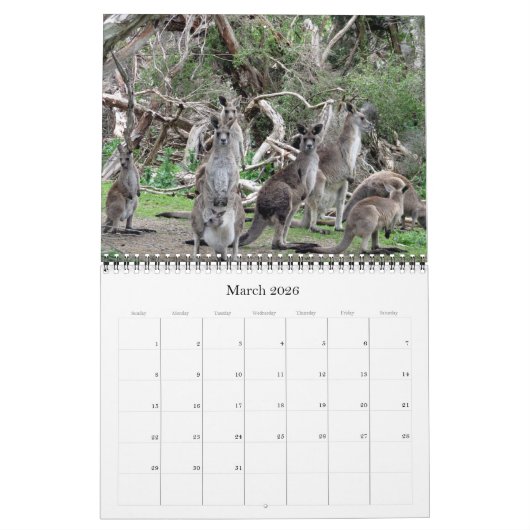 Australische dieren 2025 kalender (Mar 2026)