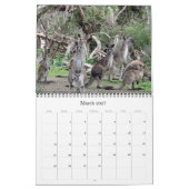 Australische dieren 2027 kalender (Mar 2027)