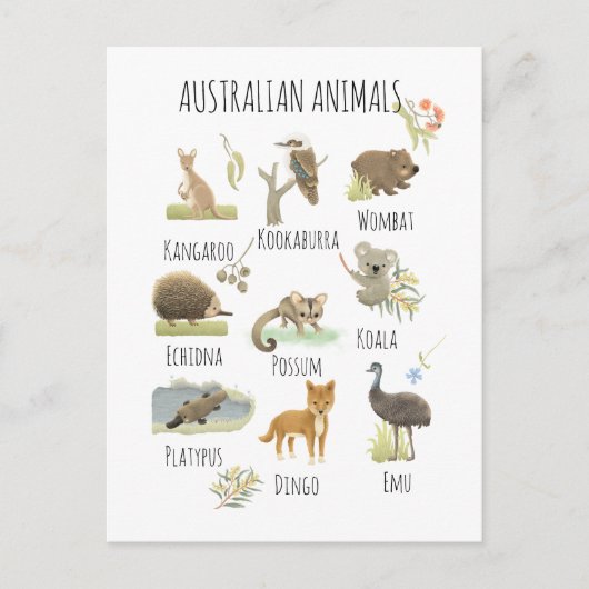 Australische dieren briefkaart (Voorkant)