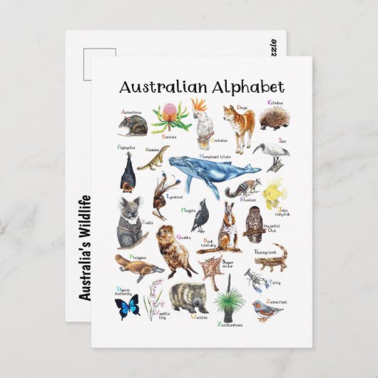 Australische dieren briefkaart (Voorkant / Achterkant)