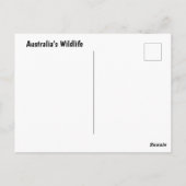 Australische dieren briefkaart (Achterkant)