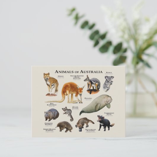 Australische dieren briefkaart (Staand voorkant)