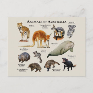Australische dieren briefkaart
