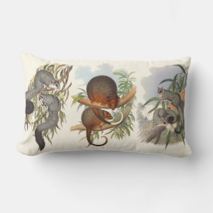 Australische dieren: drie postsonderen kussen