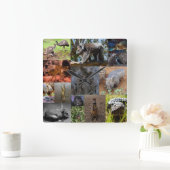 Australische dieren Fotocollage, wandklok (Huis)