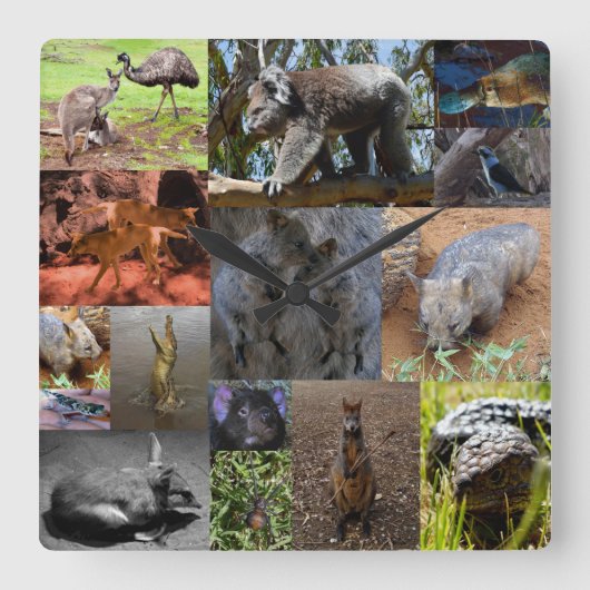 Australische dieren Fotocollage, wandklok (Voorkant)