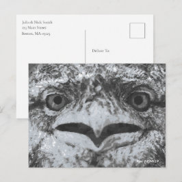 Australische dieren in het wild, Natuurlijke knorr Briefkaart