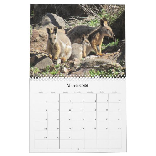 Australische dieren kalender 2025 (Mar 2026)