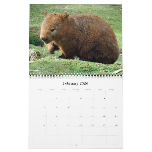 Australische dieren kalender 2025 (Feb 2026)
