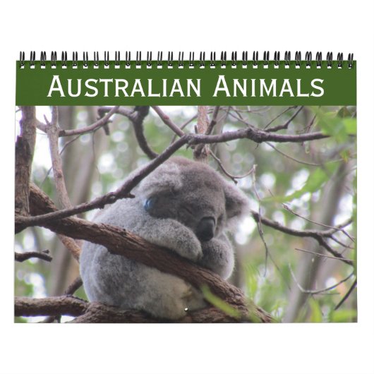 Australische dieren kalender 2025 (Hoes)